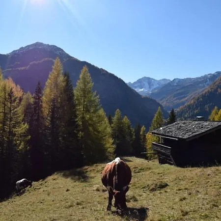 Almhutte Brandstatter Winklein